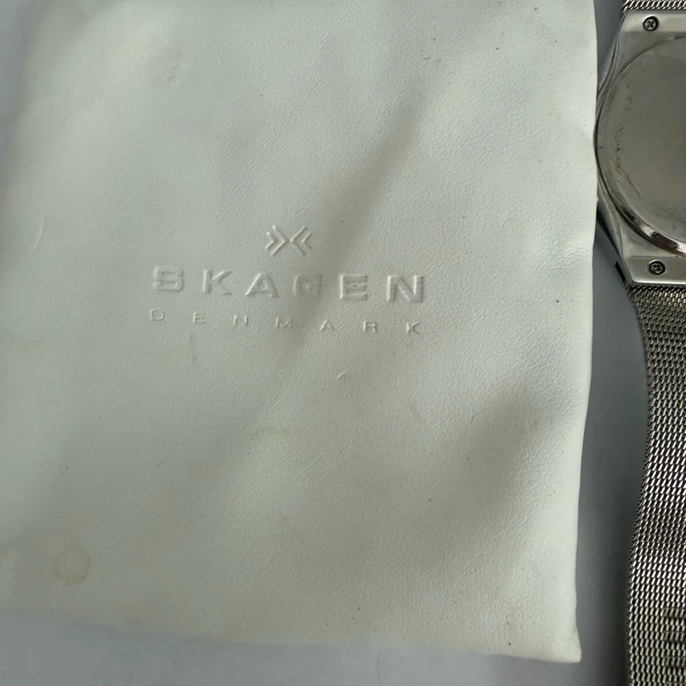 Skagen Denmark Silver Mesh Watch Dual Time Zone (Model 733XLSS)